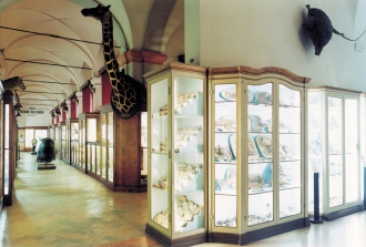 Zoological collection